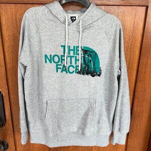 THE NORTH FACE Novelty Graphic Pull Over Hoodie Large Light Gray Green NWT